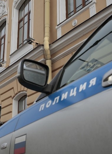 «Могут возникнуть какие-то технические проблемы»: Собянин утвердил порядок получения пропусков в Москве