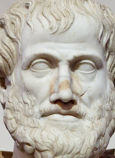 Питайтесь, как философы! Вот каким был рацион питания Аристотеля: интересные факты