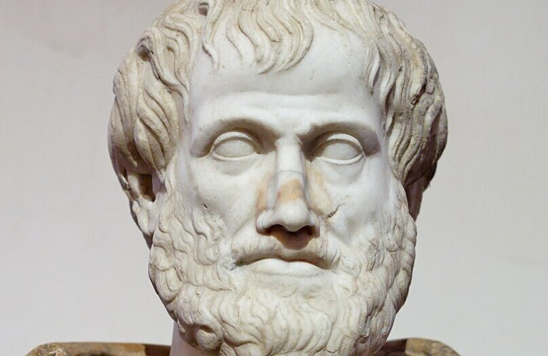 Питайтесь, как философы! Вот каким был рацион питания Аристотеля: интересные факты