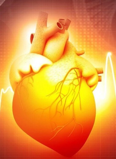 Новый алгоритм создает модель активности сердца для каждого человека