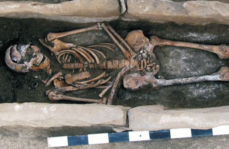 Генетики секвенировали ДНК средневековых жителей Кавказа