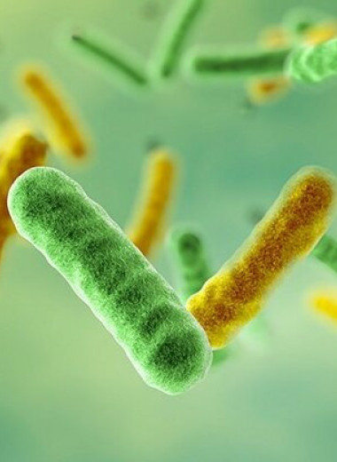 Бактерии научились использовать квантовую механику для защиты от токсинов