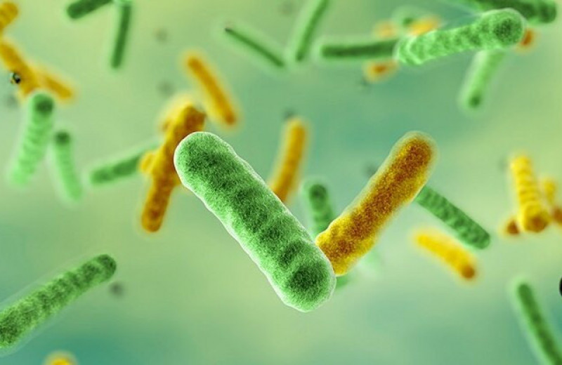 Бактерии научились использовать квантовую механику для защиты от токсинов