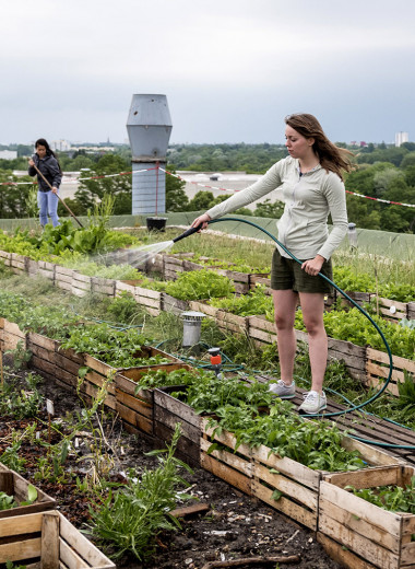 Локальный бизнес и огород во дворе: как сообщества соседей помогают городу
