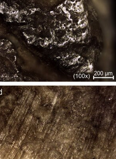 Археологи обнаружили в Израиле 120-тысячелетнюю кость с гравировкой