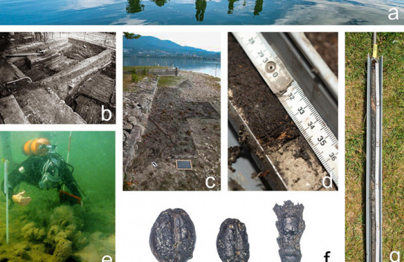 Археологи уточнили время существования свайного поселения на севере Италии