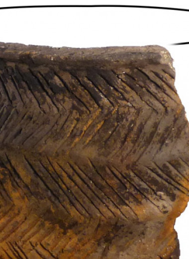 В неолитической керамике из Шотландии нашли следы молочной каши