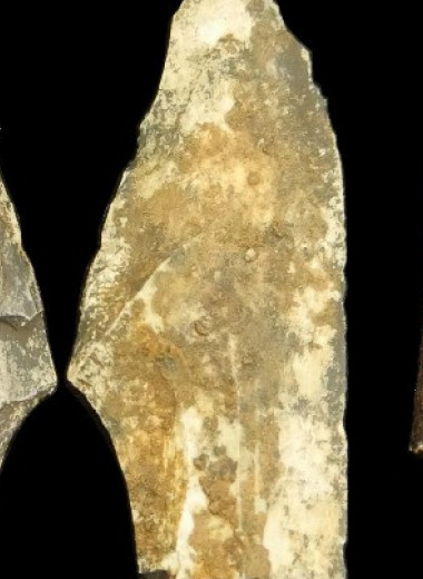 В ЮАР обнаружили костяное орудие парантропа древностью более миллиона лет
