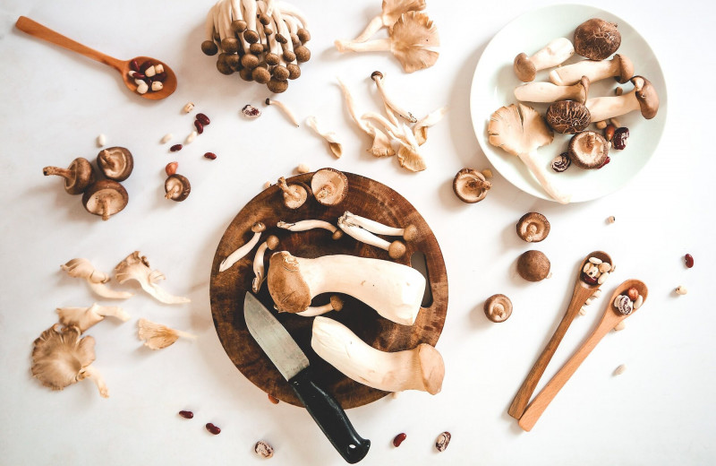 Полезные свойства сезонных грибов: сытная альтернатива мясу и лучший вариант при похудении