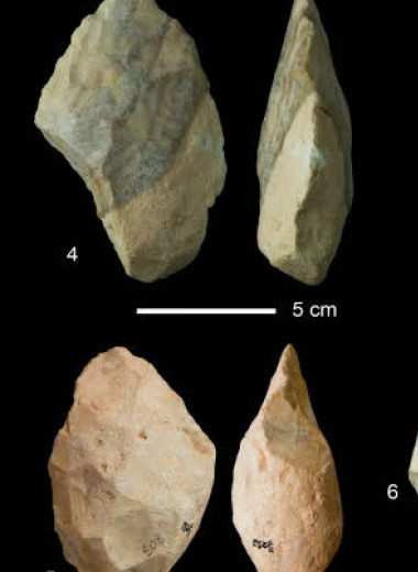 Археологи обнаружили в Тунисе стоянку среднего каменного века