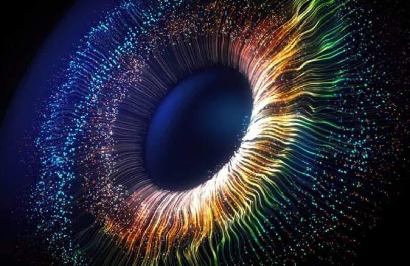 При синестезии человек действительно видит буквы и цифры в цвете