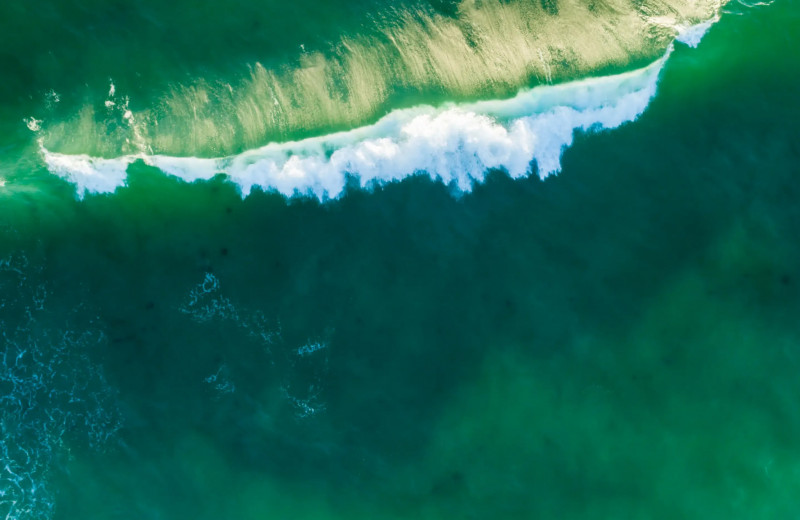 Почему Мировой океан меняет свой цвет: зеленые воды
