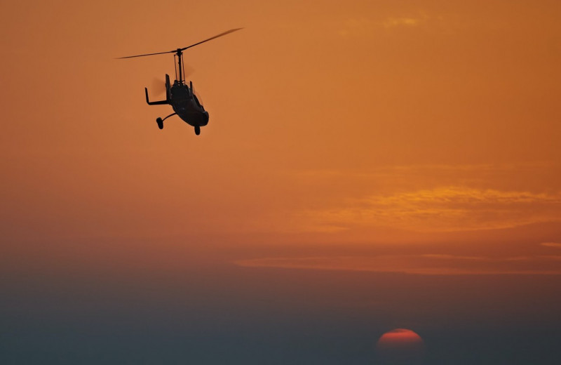 Монокоптер: как летает вертолет с одной лопастью