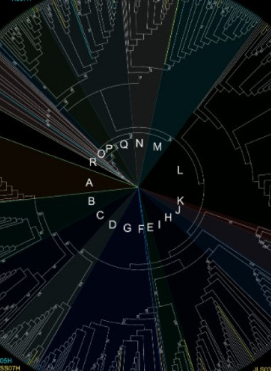 Домашние лошади попали в Китай не меньше 3500 лет назад