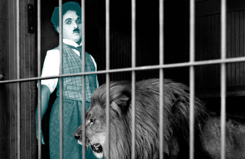 Мамин бродяга: как Чарли Чаплин стал символом кино