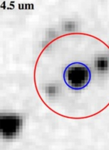 Астрономы впервые отыскали кольцо из планетарных обломков в обитаемой зоне белого карлика