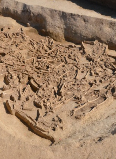 В Словакии обнаружили массовое захоронение людей без черепов эпохи неолита