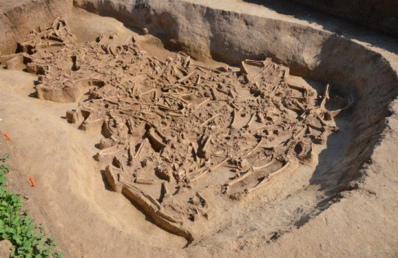 В Словакии обнаружили массовое захоронение людей без черепов эпохи неолита
