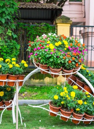 10 многолетних растений, которые будут цвести все лето: подборка для садовода