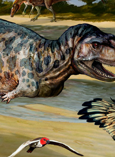 Новые древние: карликовый титанозавр, длинношеий серпентизухопс и гигантская выдра