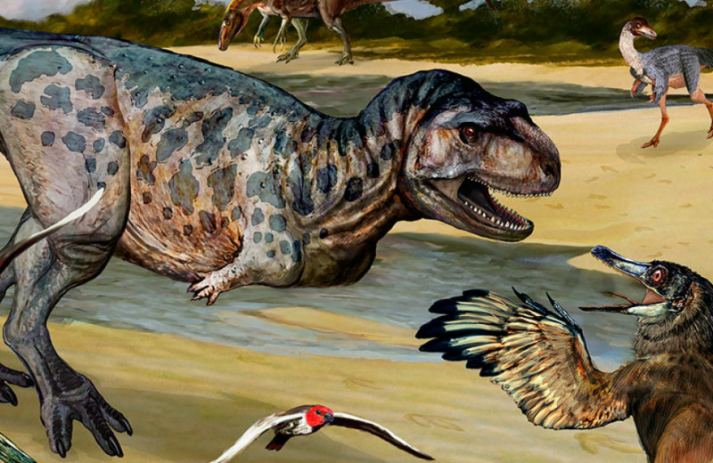 Новые древние: карликовый титанозавр, длинношеий серпентизухопс и гигантская выдра