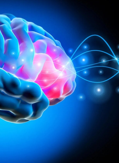 Ученые обнаружили ритм мозга, который позволяет человеку чувствовать свое тело