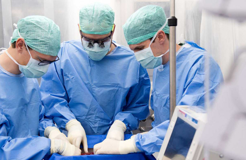Жизнь вне тела: как искусственный «дом для органов» спас первого пациента