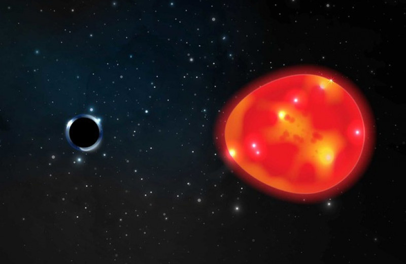 Астрономы отыскали кандидата в самую близкую к Земле черную дыру