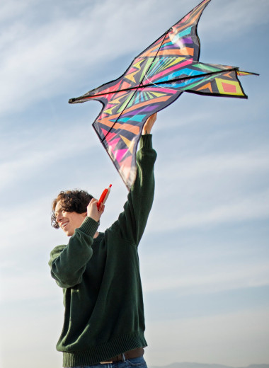 Гонки бумажных самолетиков, чемпионат змеев и хоббихорсинг: 5 самых необычных чемпионатов мира