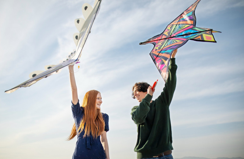 Гонки бумажных самолетиков, чемпионат змеев и хоббихорсинг: 5 самых необычных чемпионатов мира