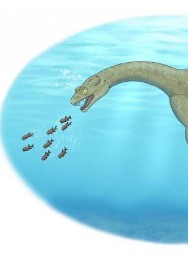 В Китае нашли рептилию возрастом 240 миллионов лет, которая отлично охотилась под водой