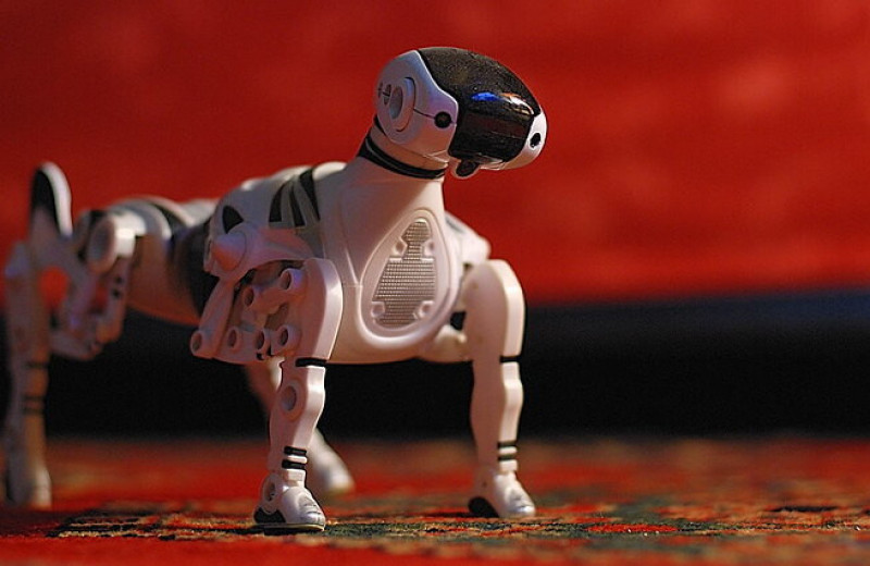 Смогут ли роботы заменить домашних животных