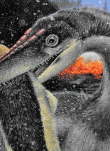 Перья помогли динозаврам пережить вымирание 200 миллионов лет назад