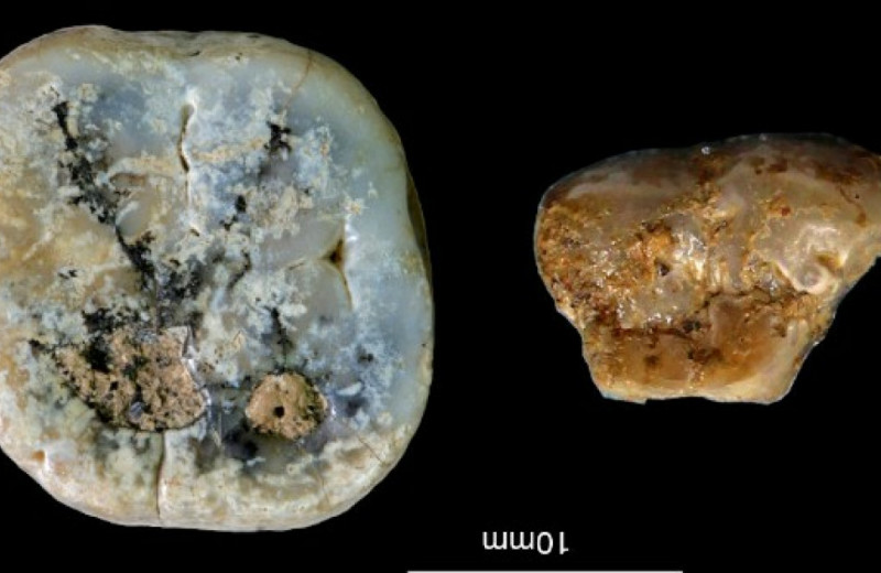 В Кении обнаружили олдованские орудия возрастом 2,6-3 миллиона лет