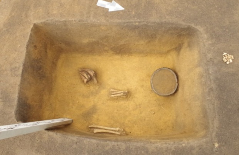 Челябинские археологи нашли 17 младенческих погребений бронзового века