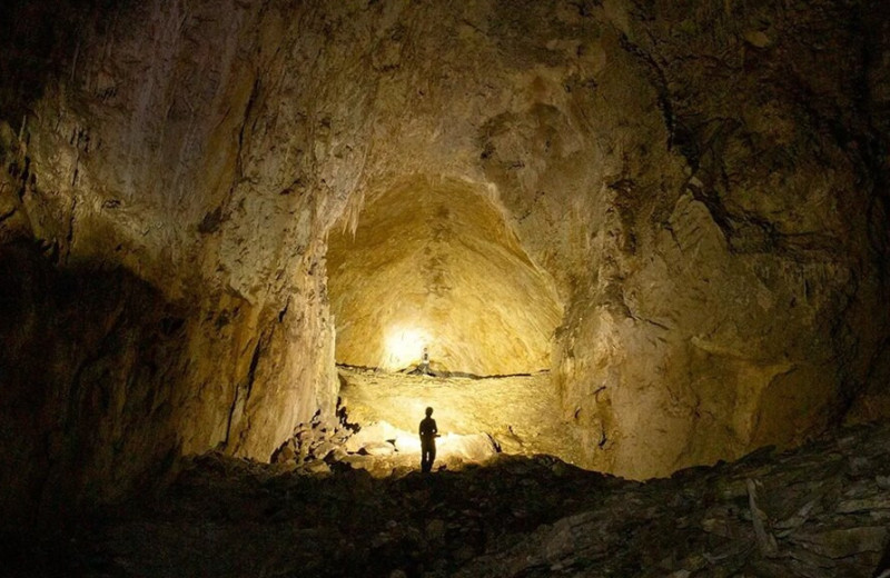 Пещерные бактерии могут помочь нам в поиске инопланетян