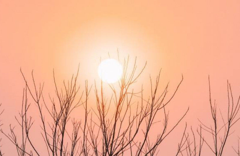 Сколько нужно бывать на солнце, чтобы оставаться здоровым?