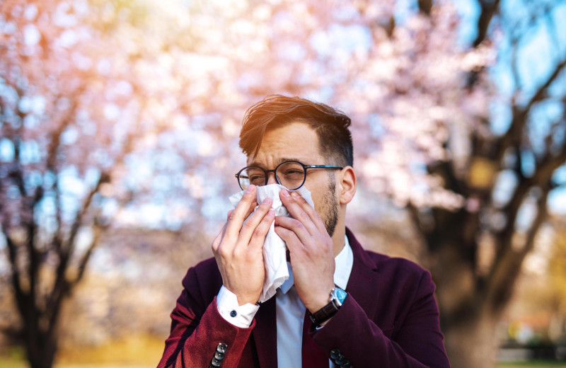 Весна приходит не одна: как бороться с аллергией на пыльцу?