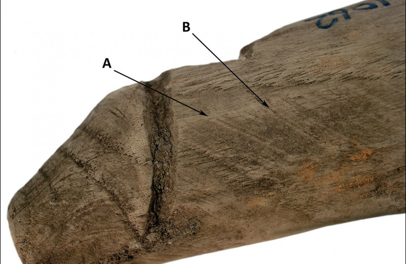 Посмотрите на древнеримский фаллос — ему 2 тысячи лет! Ученые сомневаются в его предназначении