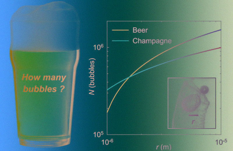 Химики посчитали пузырьки в бокале пива