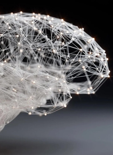 Интеллект возникает, когда весь мозг работает как единое целое