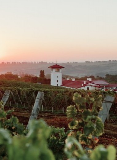 Единственный в своем роде – после 10 лет подготовки проект «Долина Лефкадия» запускает продажу вилл на виноградниках