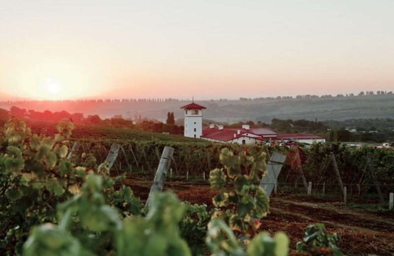 Единственный в своем роде – после 10 лет подготовки проект «Долина Лефкадия» запускает продажу вилл на виноградниках