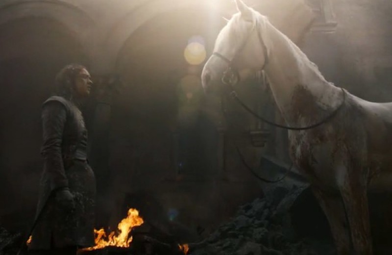 Вот что значит белая лошадь, которую встретила Арья в финале пятой серии «Игры престолов»