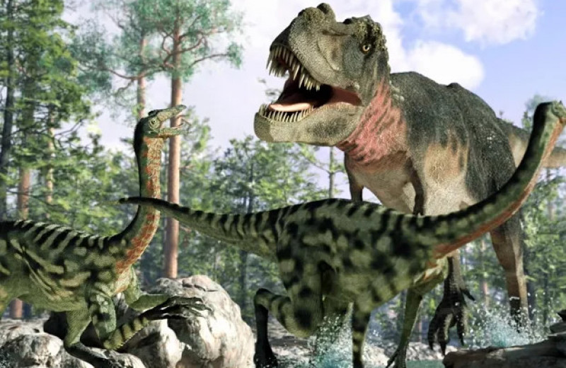 Это эволюционное приспособление позволило динозаврам стать королями древней Земли