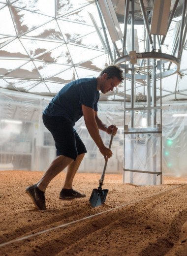 Это вам не кино: ученые назвали растение, которое выживет и даст урожай на Марсе