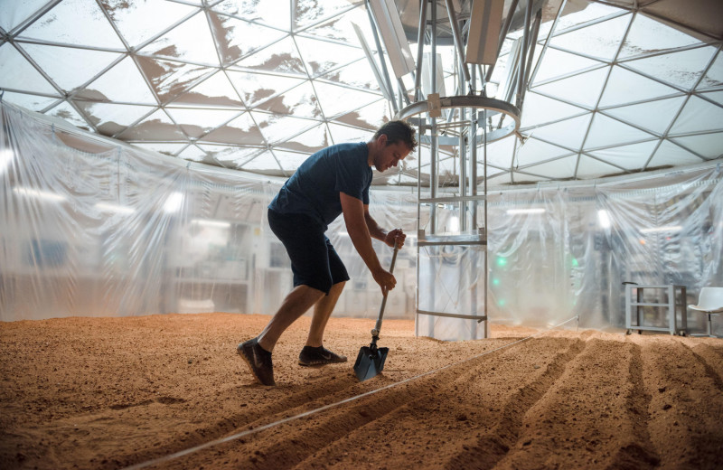 Это вам не кино: ученые назвали растение, которое выживет и даст урожай на Марсе