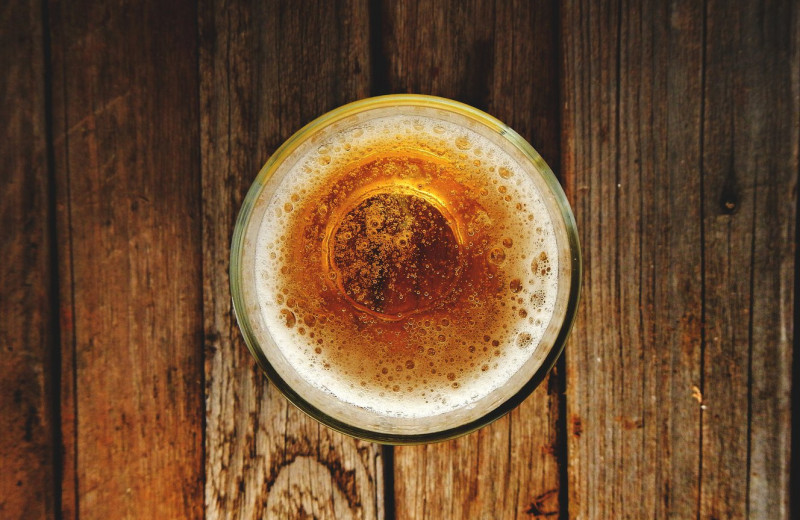 Пиво улучшат с помощью генно-модифицированного ячменя