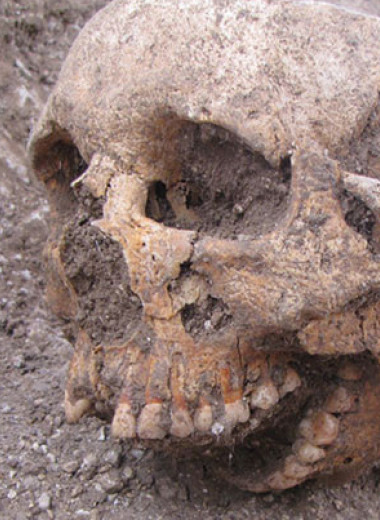 Европейские средневековые погребения вскрыли в VI–VII веках не только для грабежа