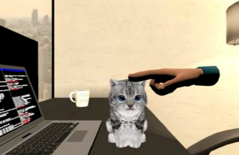 VR-кисточка с регулируемой жесткостью позволила погладить виртуального котенка
